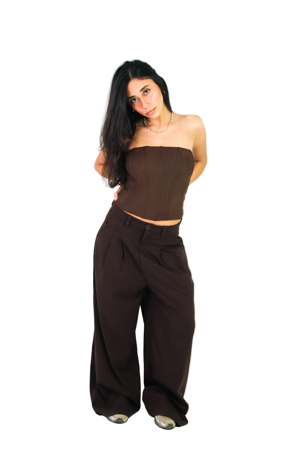 Pleated Pants in Brown