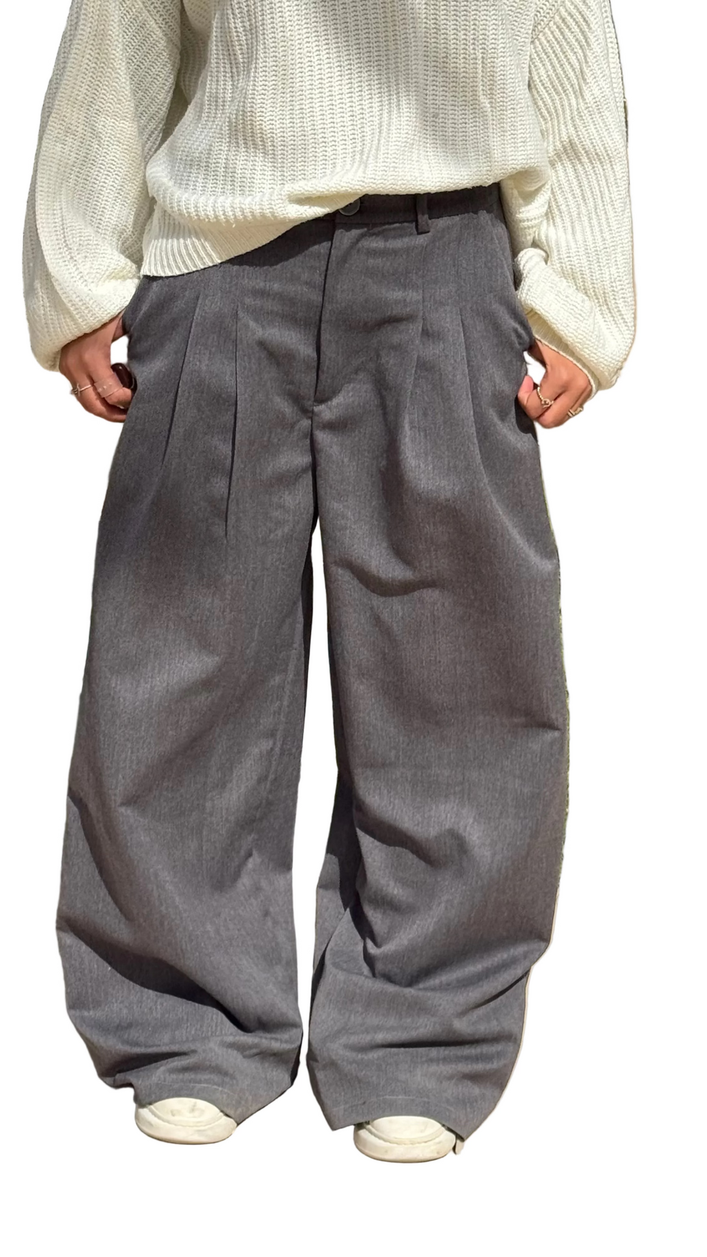 Pleated Pants in Grey