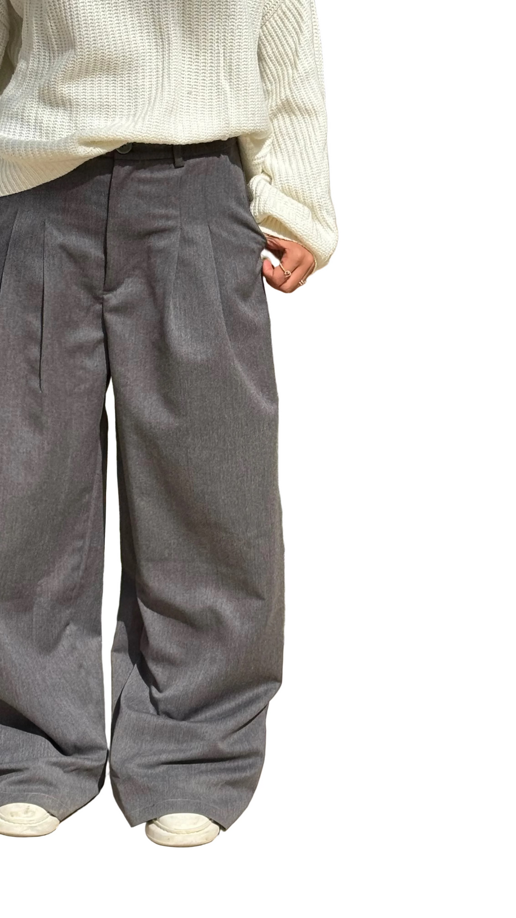 Pleated Pants in Grey